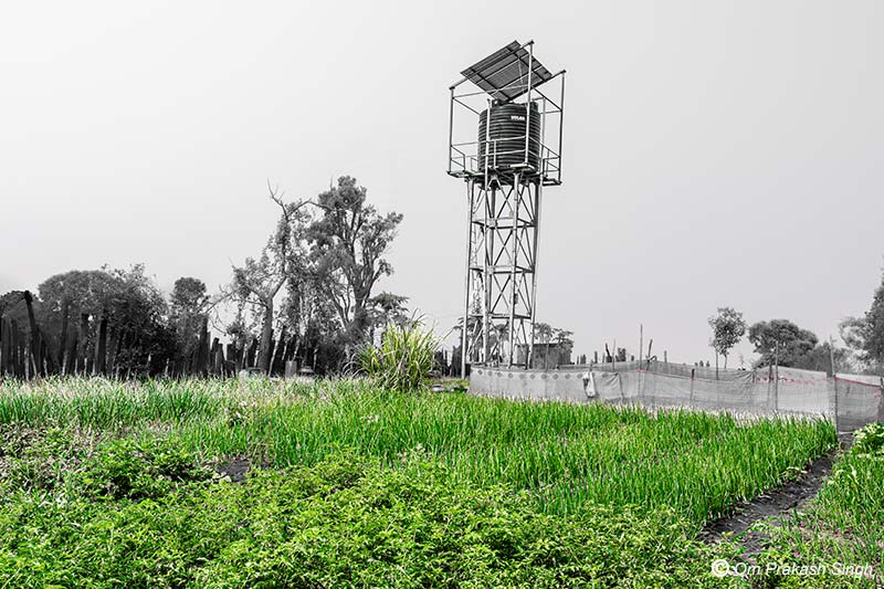 Precious and scarce groundwater from JJM scheme being used for raising crops in Latehar district, Jharkhand, India